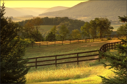 Pennsylvania Hills