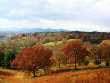 The Biltmore Estate has more rooms than any other private home in America. Built by George Vanderbilt, the Estate’s 8,000 acres include beautiful gardens and a winery among its attractions. Many of the Estate’s sweeping views were designed by Frederick Law Olmstead.
