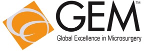 GEM Logo