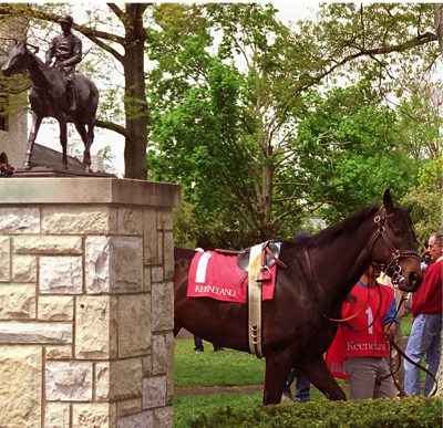 Keeneland-The_Paddock.David-Ohmer.png The Paddock at Keeneland
