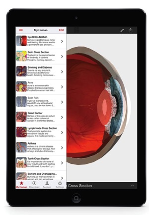 BioDigital_image-Eye_Cross_section-1.jpg BioDigital image Eye Cross section