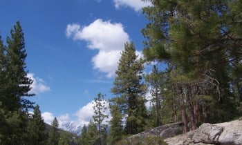 100_2551.jpg Sequoia National Park