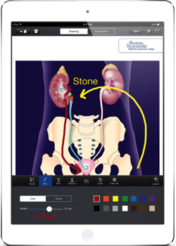 DrawMD.png DrawMD urology