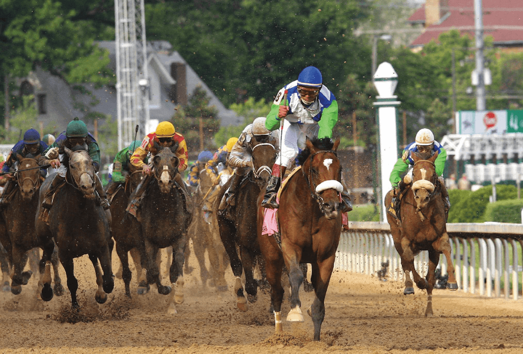 Down the stretch come contenders for the blanket of roses awarded to the winner of the Kentucky Derby each year.